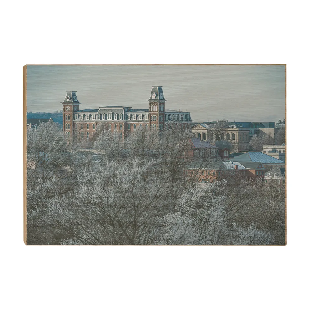 Arkansas Razorbacks - Old Main Frost