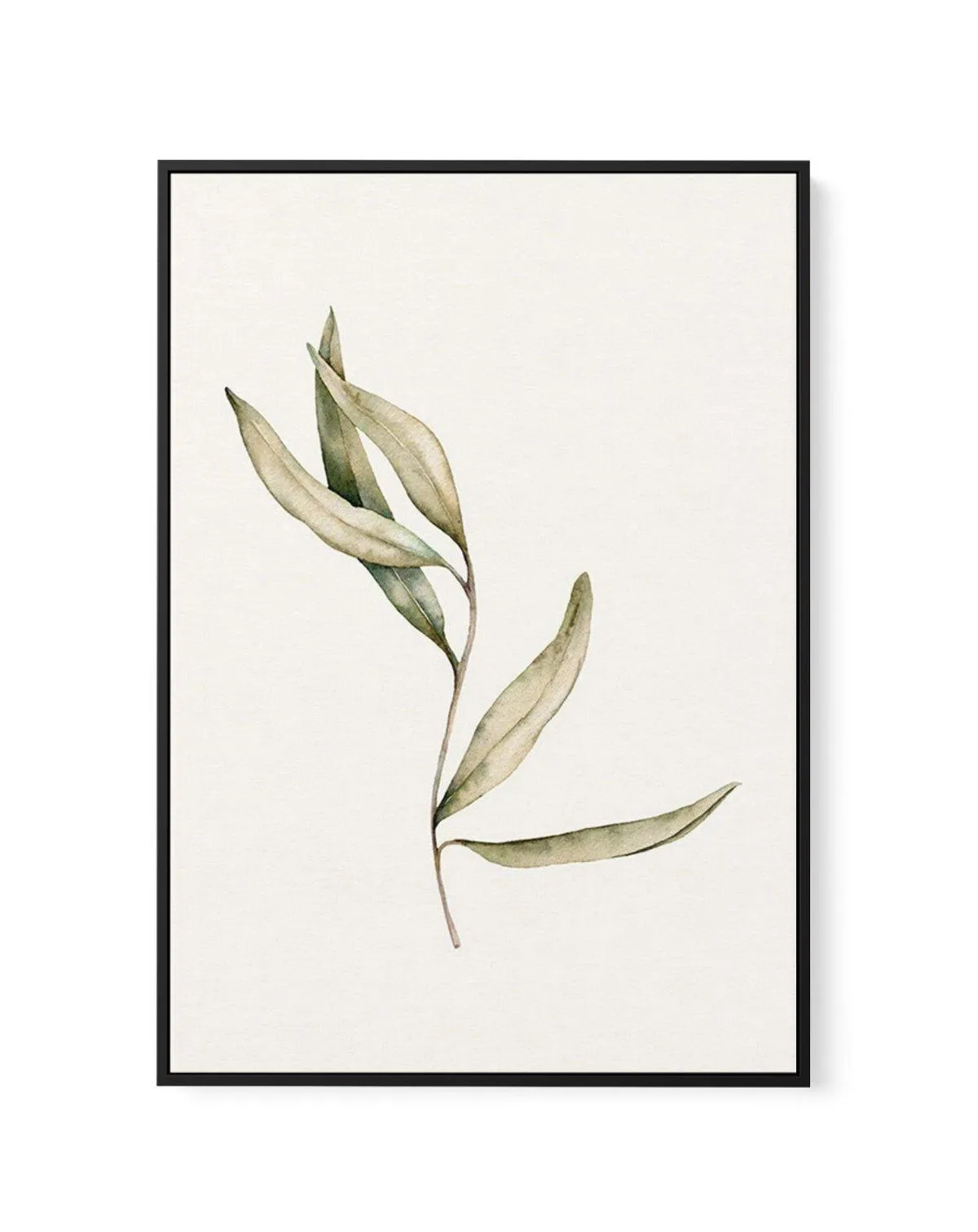 Australian Foliage II | Framed Canvas Art Print