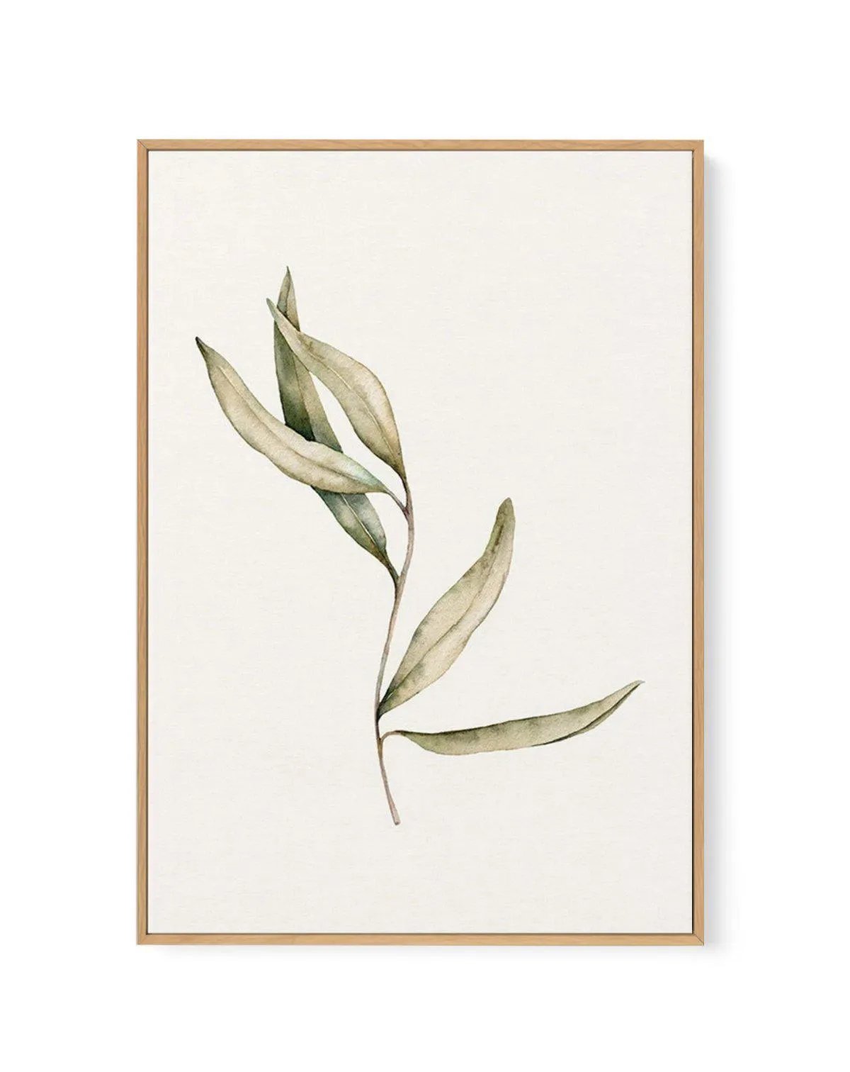 Australian Foliage II | Framed Canvas Art Print