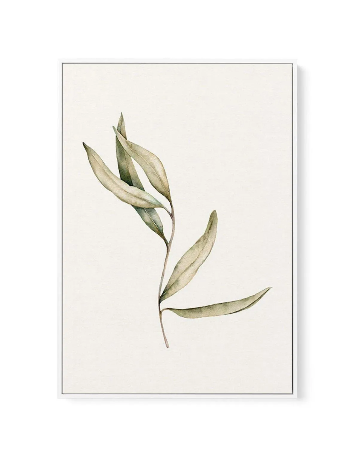 Australian Foliage II | Framed Canvas Art Print