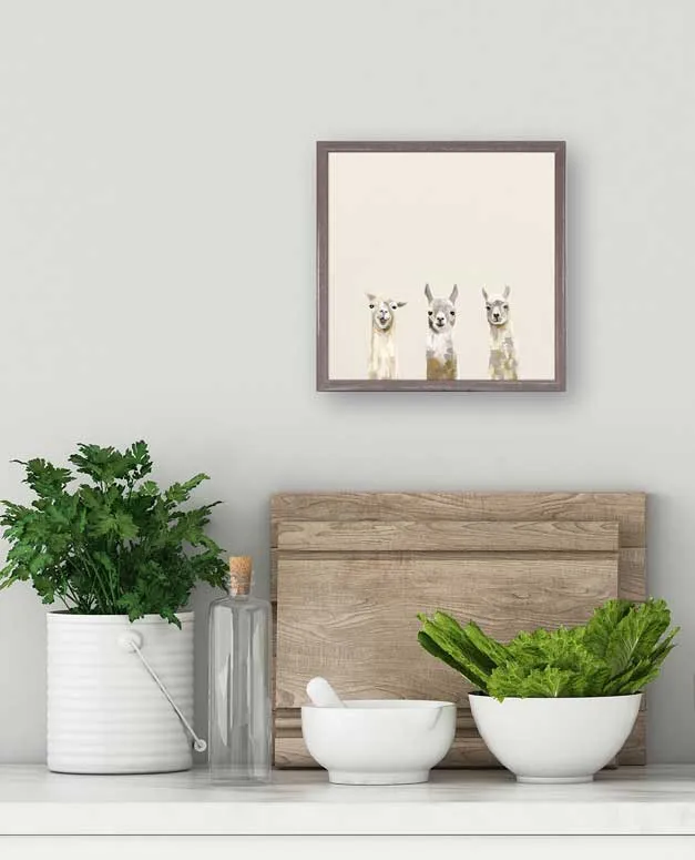 Baby Llama Trio Mini Framed Canvas