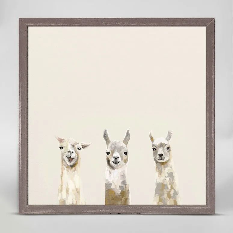 Baby Llama Trio Mini Framed Canvas