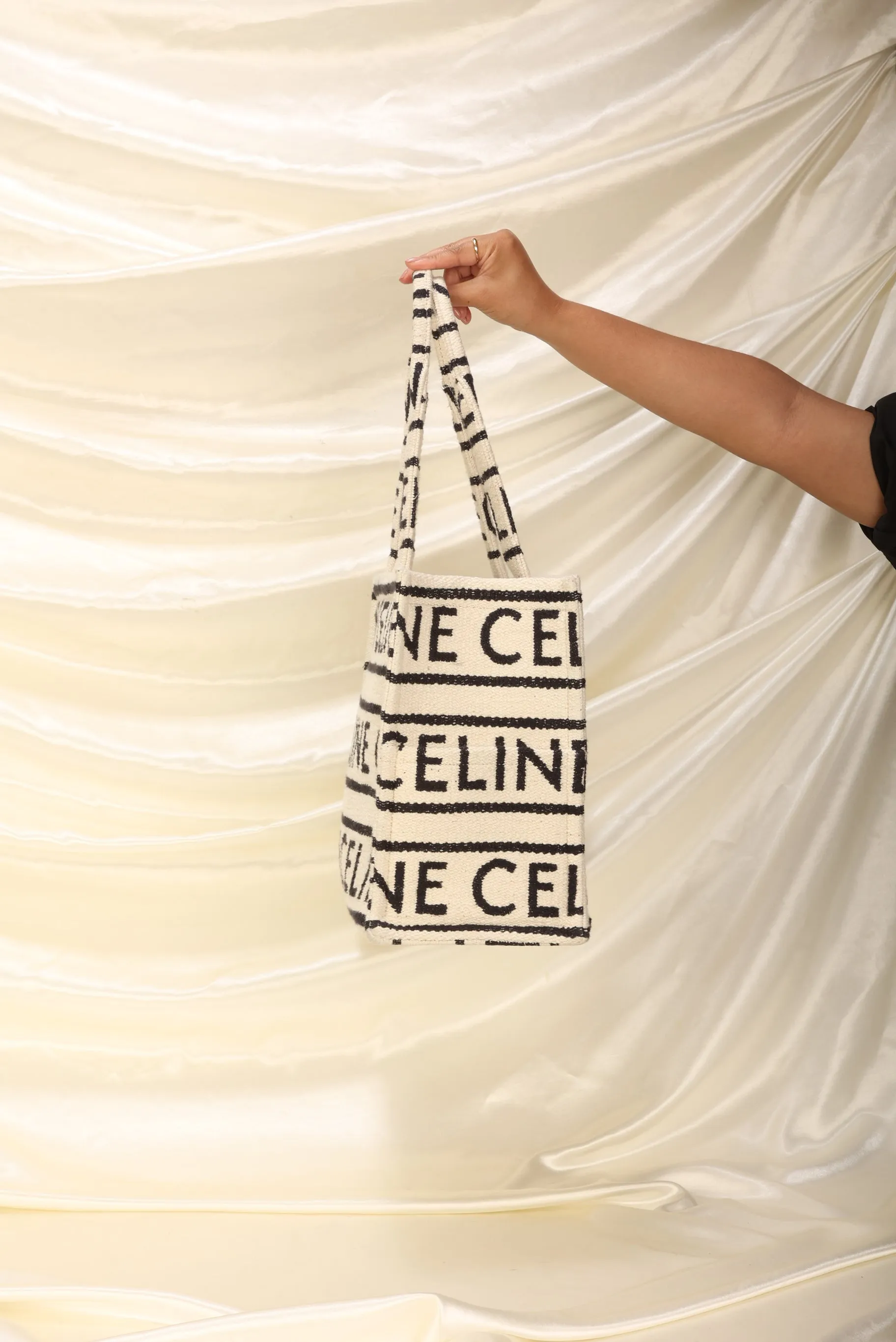 Celine 2022 Large All Over Cabas Thais Tote