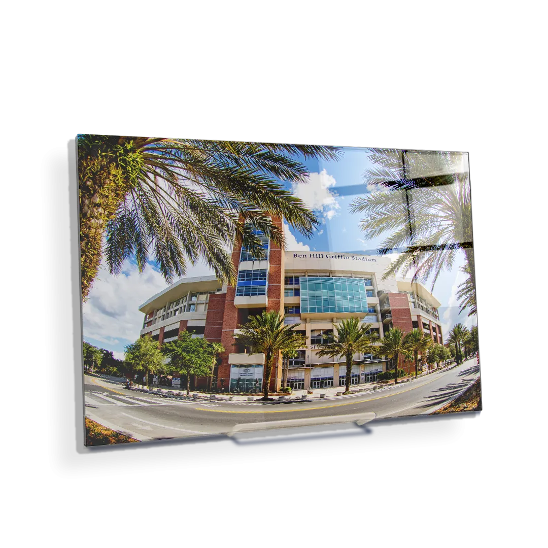 Florida Gators - Fisheye View Ben Hill Griffin Stadium