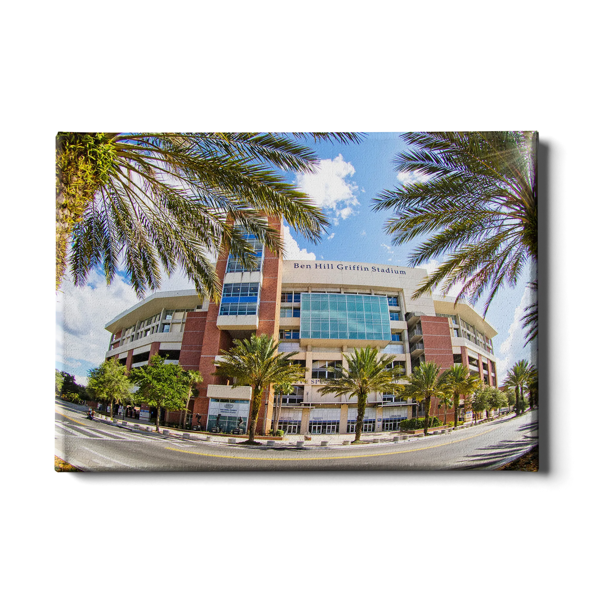 Florida Gators - Fisheye View Ben Hill Griffin Stadium