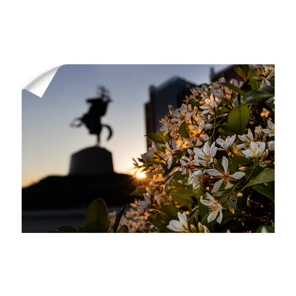 Florida State Seminoles - Unconquered Sunset