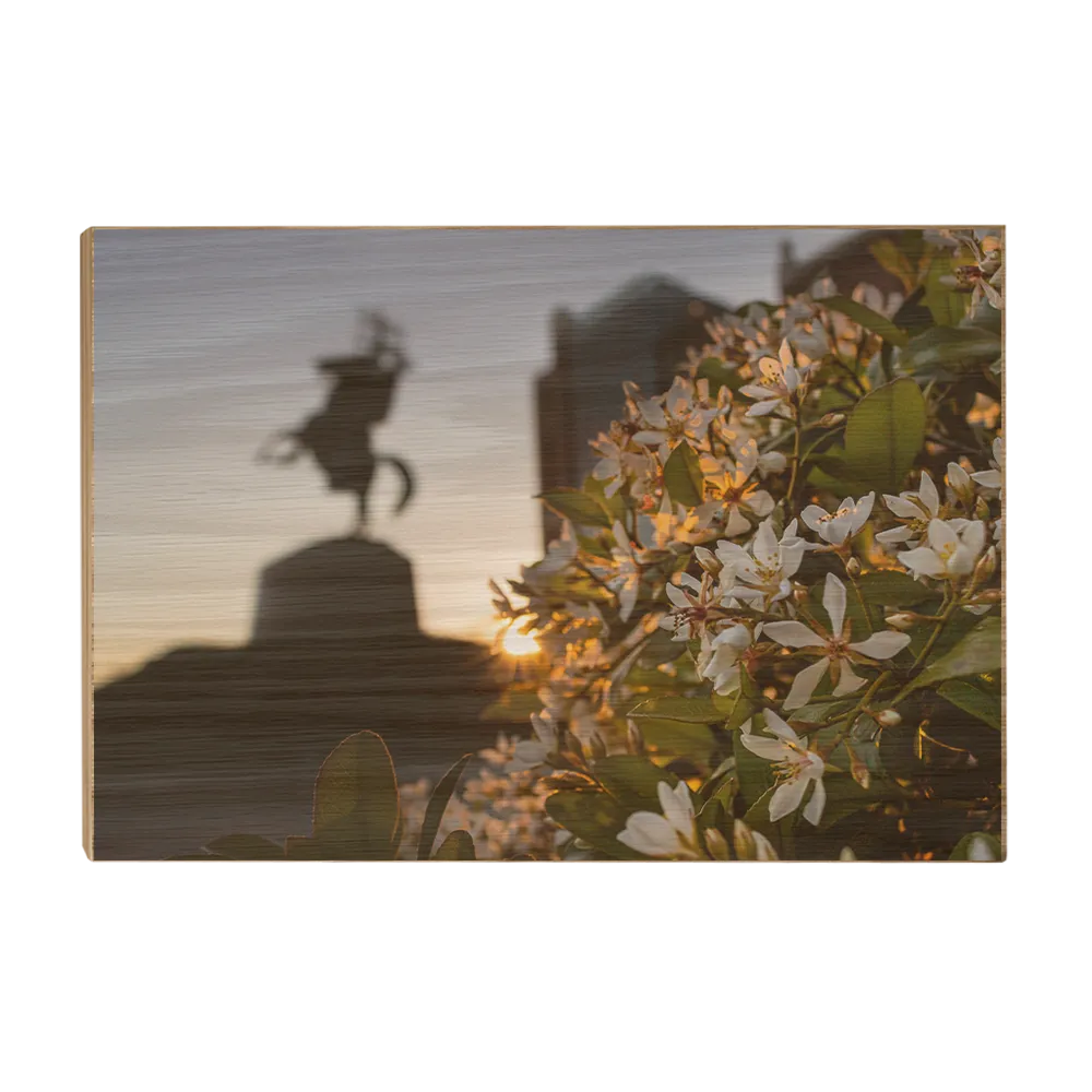 Florida State Seminoles - Unconquered Sunset