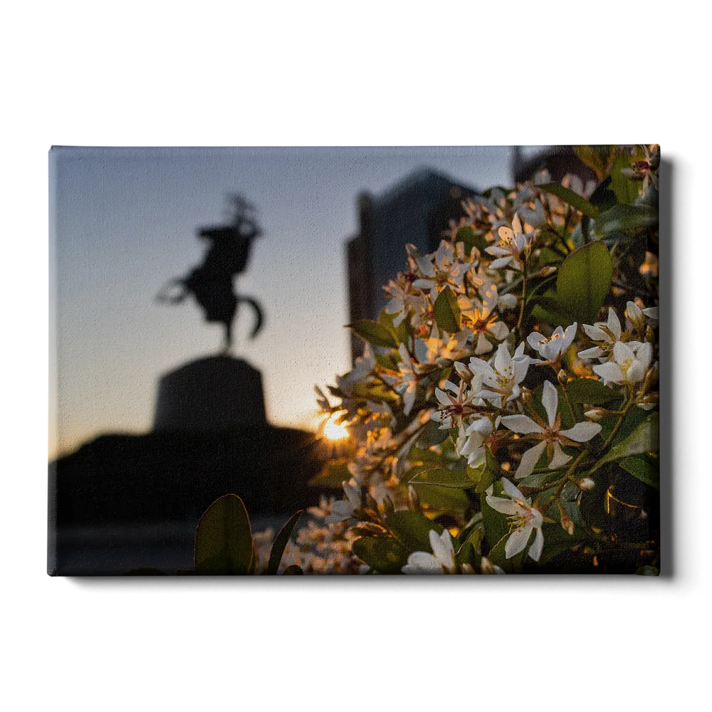 Florida State Seminoles - Unconquered Sunset