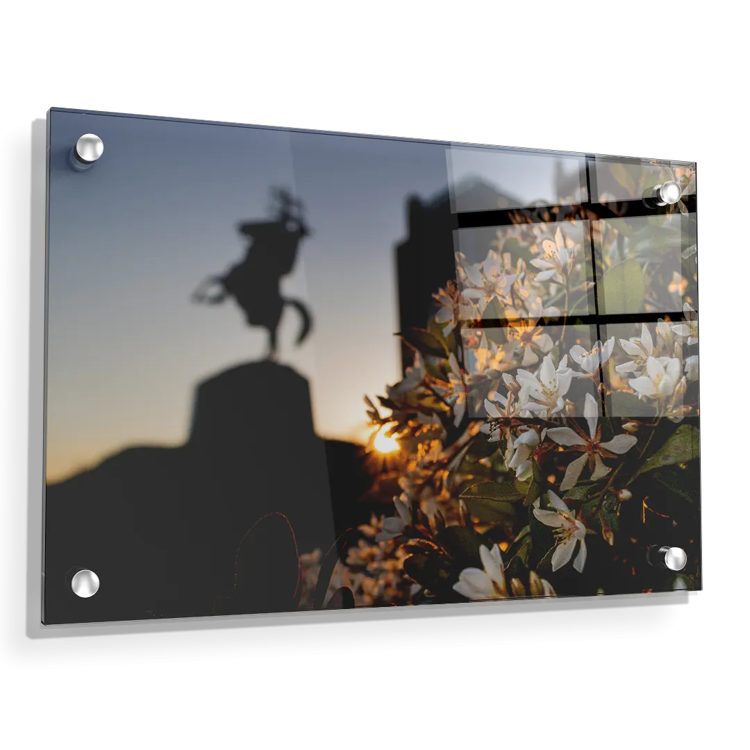 Florida State Seminoles - Unconquered Sunset