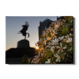 Florida State Seminoles - Unconquered Sunset