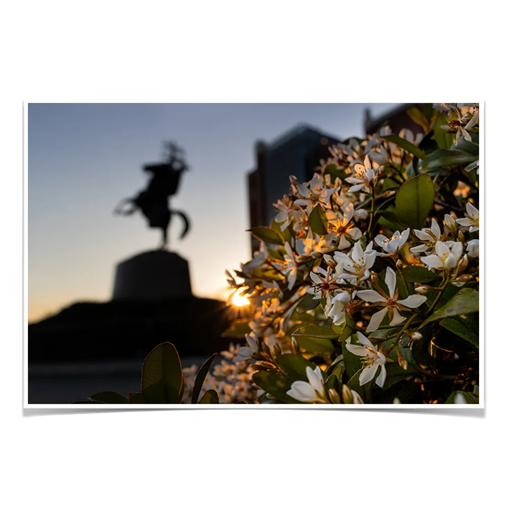 Florida State Seminoles - Unconquered Sunset