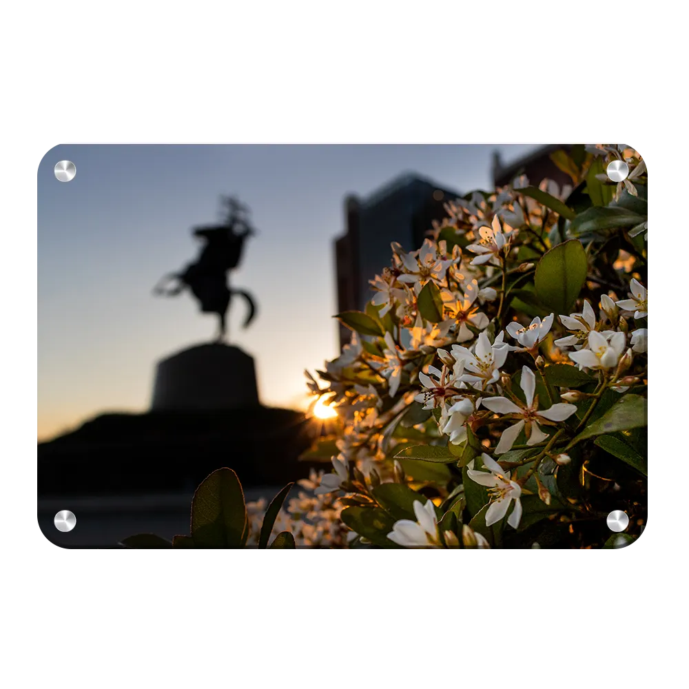 Florida State Seminoles - Unconquered Sunset