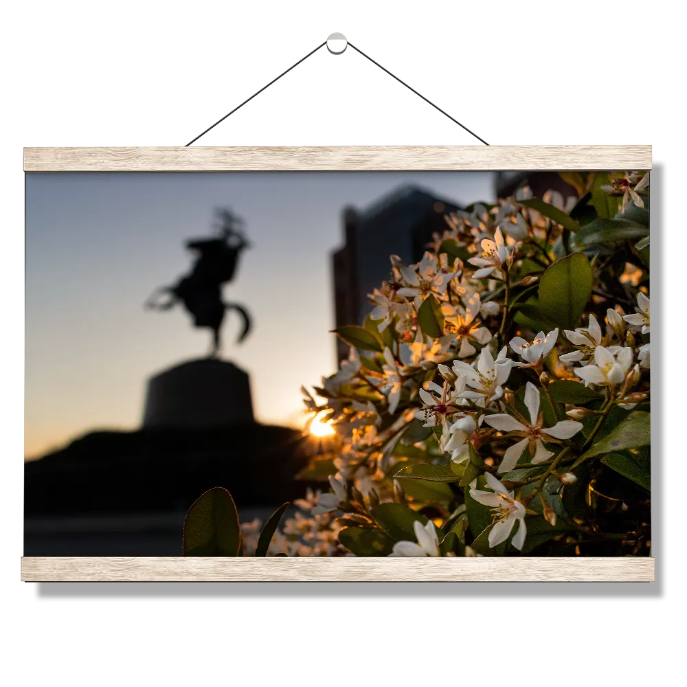 Florida State Seminoles - Unconquered Sunset