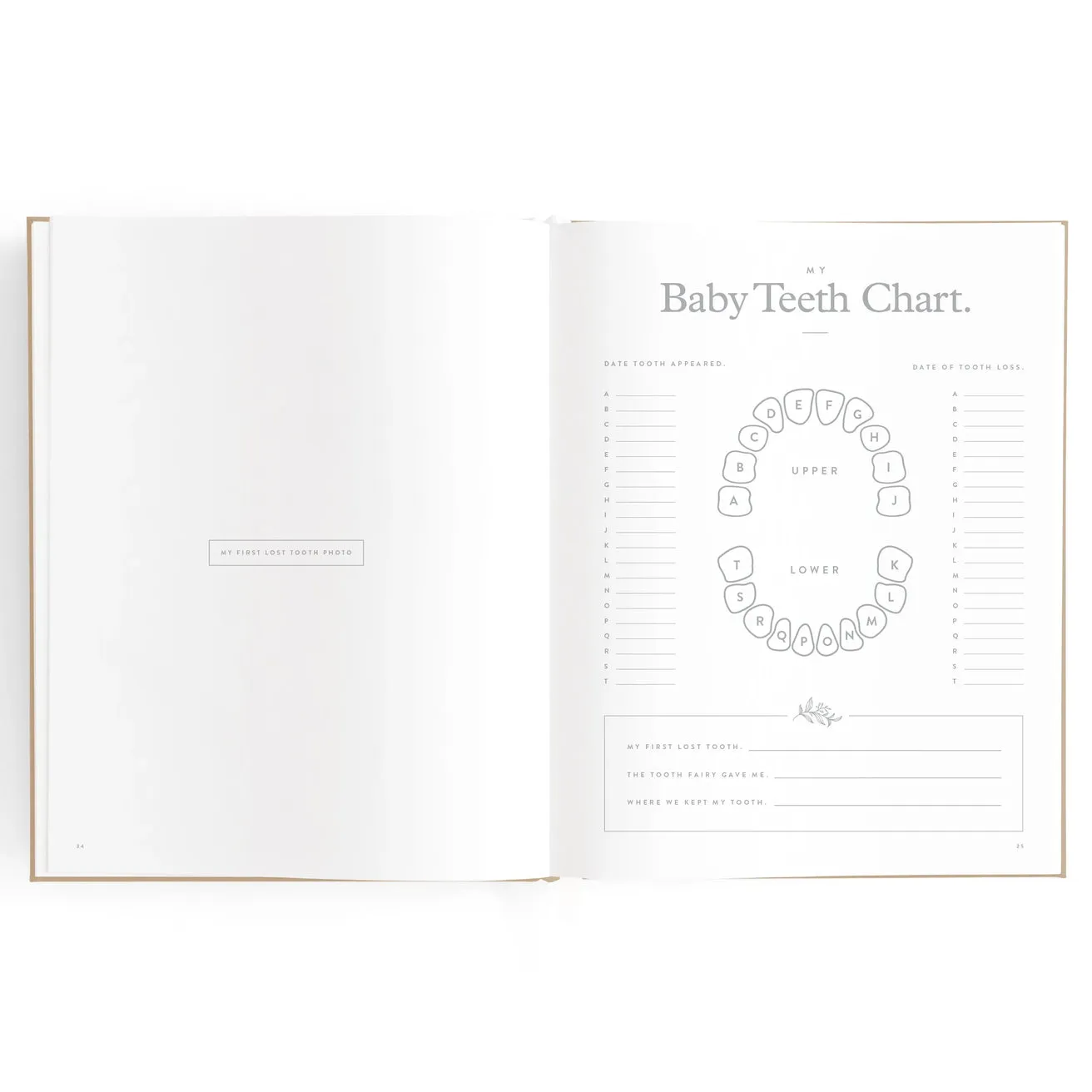 Fox and Fallow Boys Baby Book - Biscuit