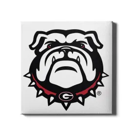 Georgia Bulldogs - Bulldog on White