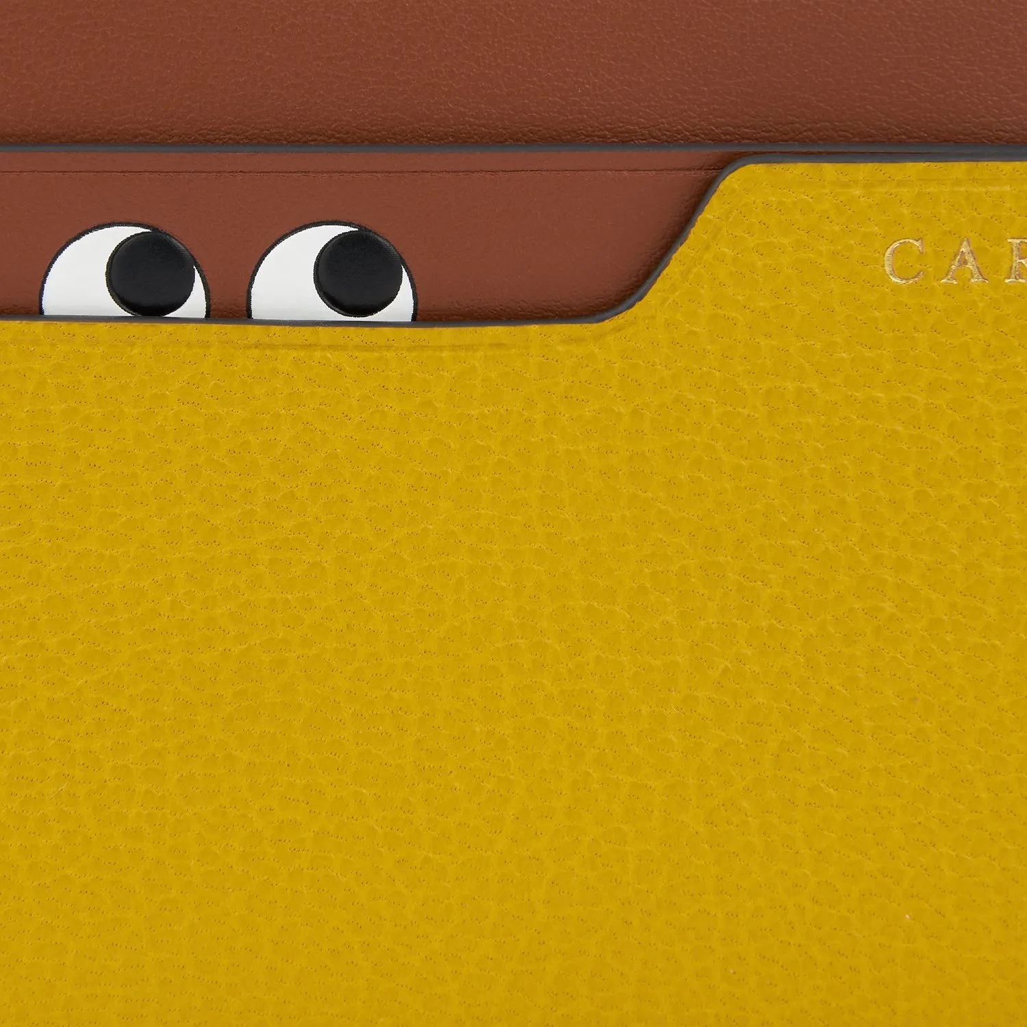 Peeping Eyes Card Case