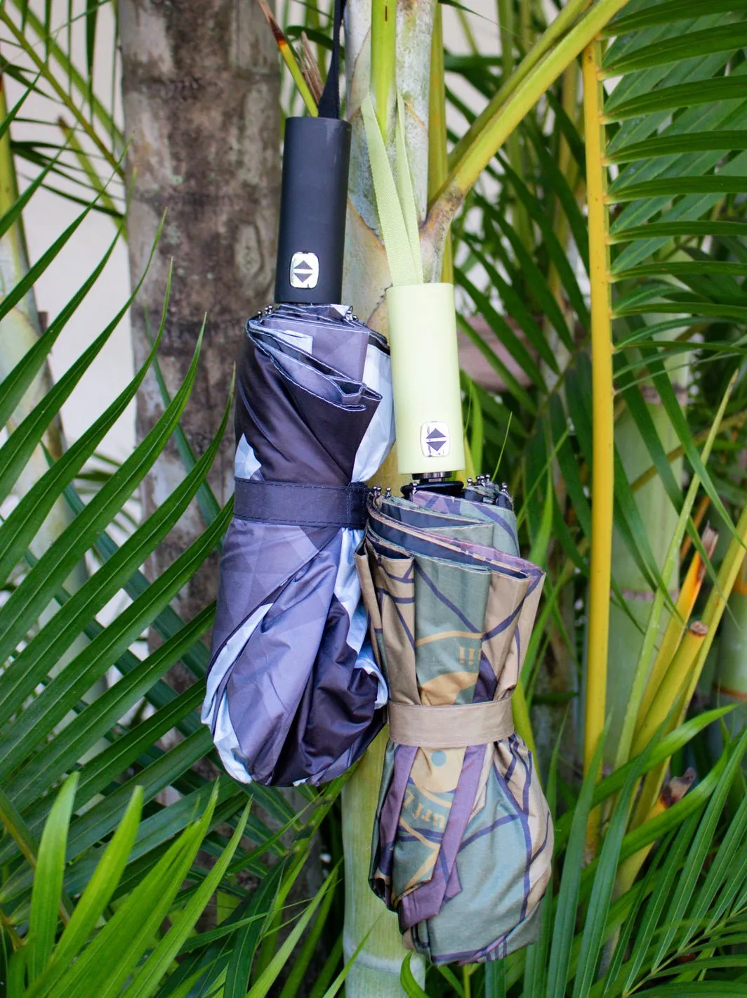 T&C Surf Kalo Umbrella